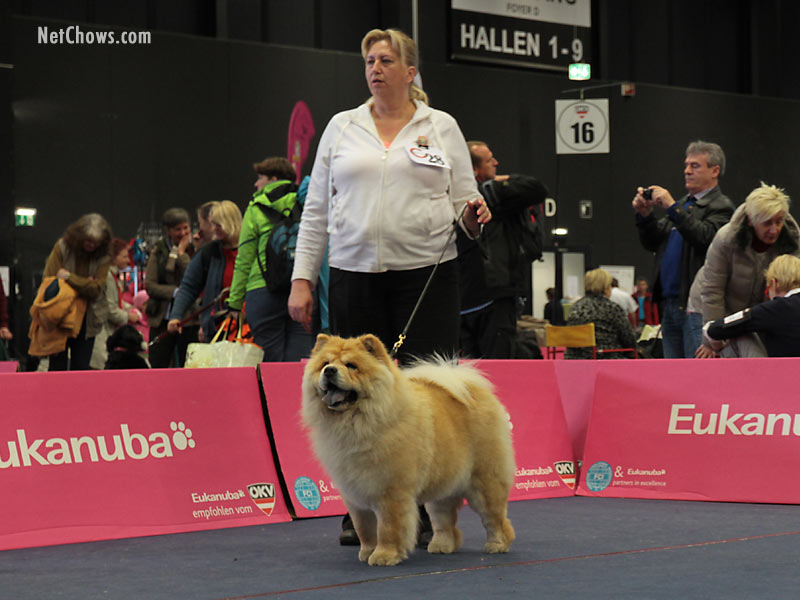 Austrian Club Show Cac: Dremo Maragrita (photo: NetChows)